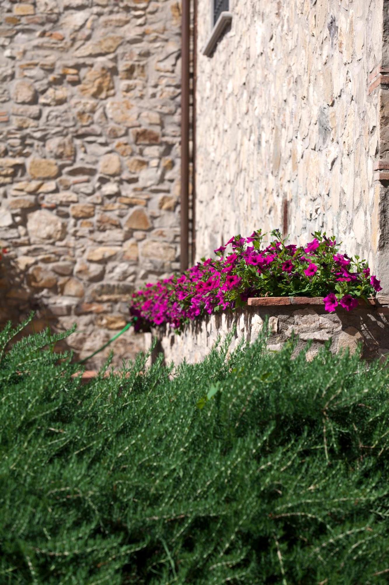 Agriturismo La Casa Di Rodo Quarrata Zewnętrze zdjęcie