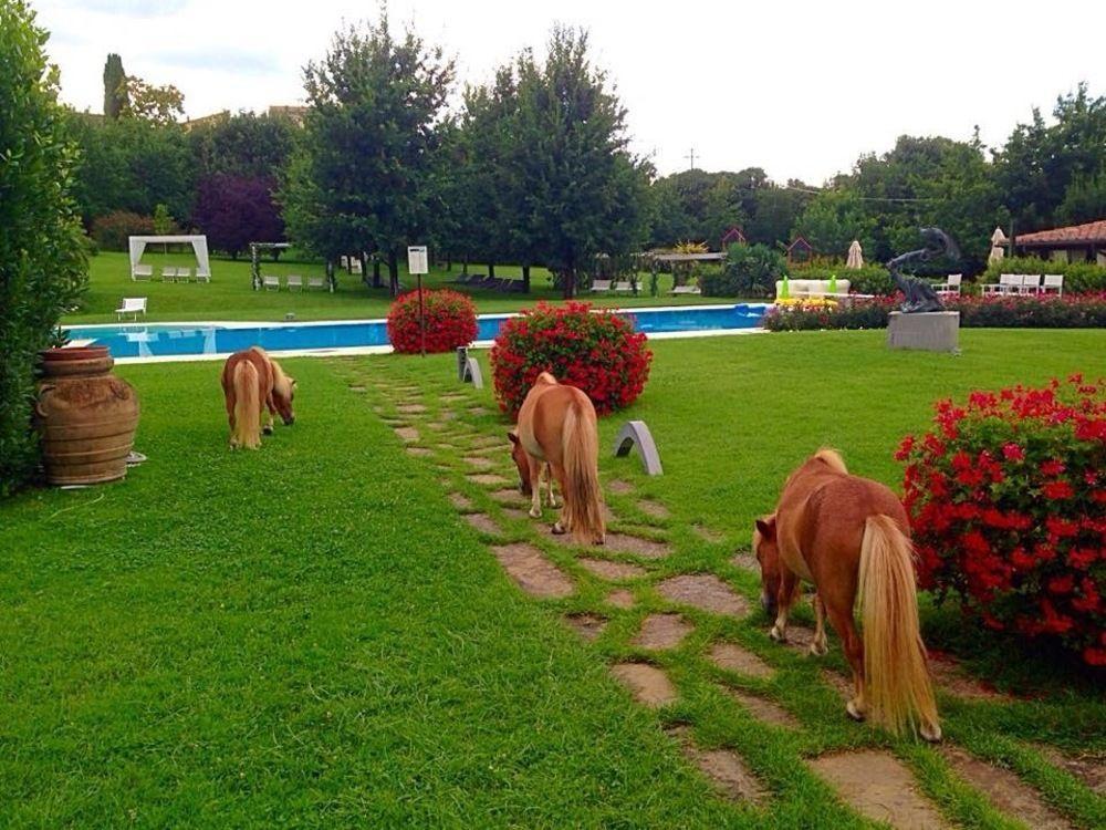 Agriturismo La Casa Di Rodo Quarrata Zewnętrze zdjęcie