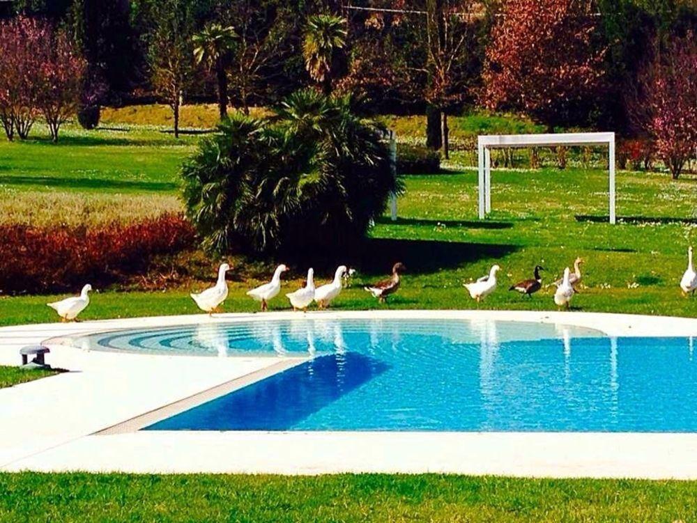 Agriturismo La Casa Di Rodo Quarrata Zewnętrze zdjęcie