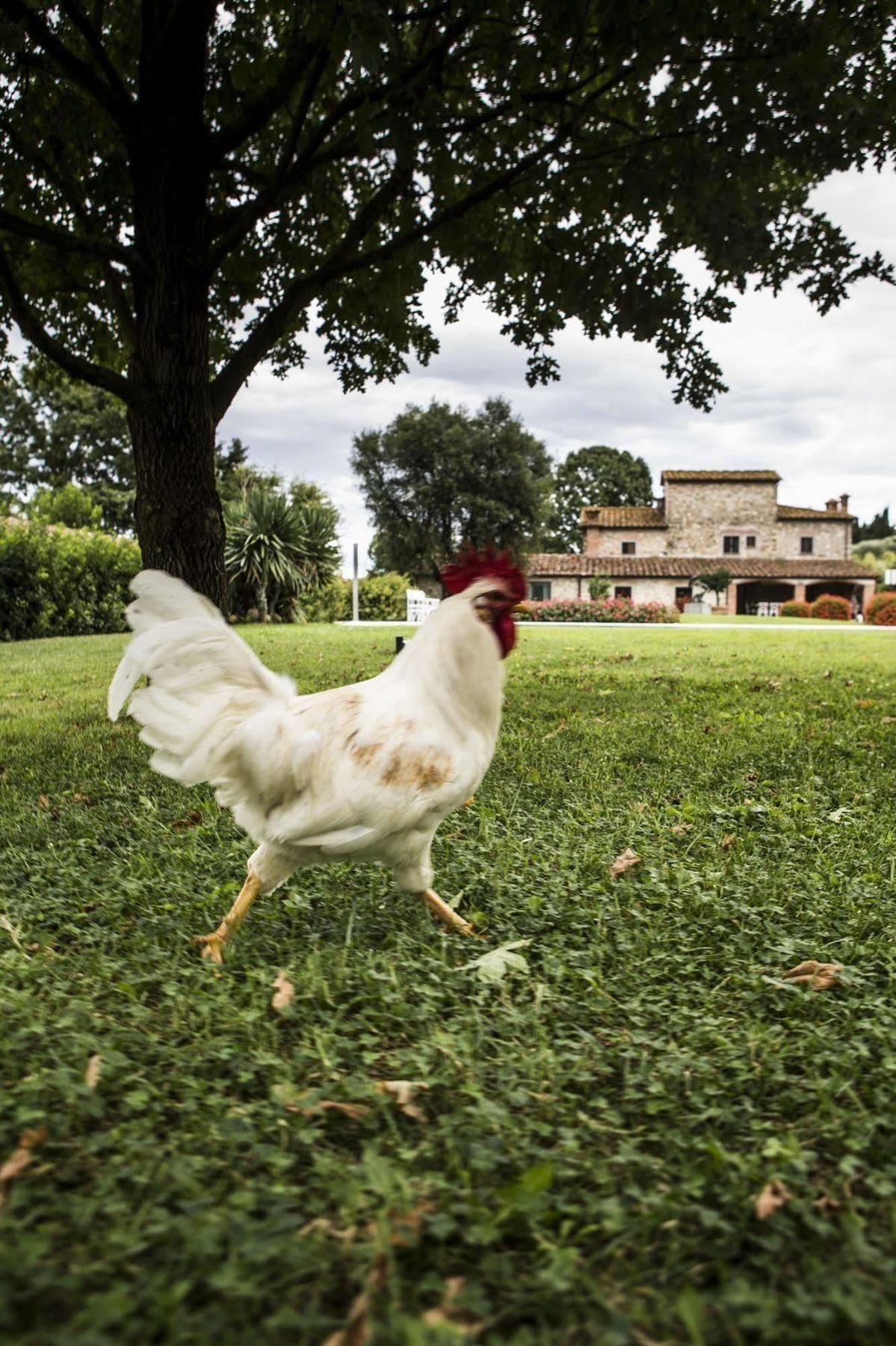 Agriturismo La Casa Di Rodo Quarrata Zewnętrze zdjęcie
